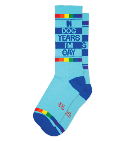 Teal sock with "IN DOG YEARS I'M GAY" text and red accents, plus rainbow detail.