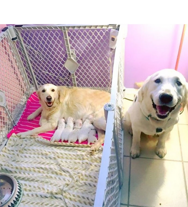 19 Reasons To Be Kind To Animals