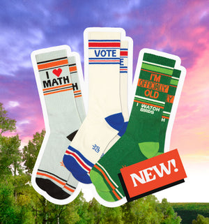 BANNER THAT HAS 3 SOCKS DISPLAYED SAYING "I HEART MATH" "VOTE" AND "I'M OFFICIALLY OLD. I WATCH BIRDS."