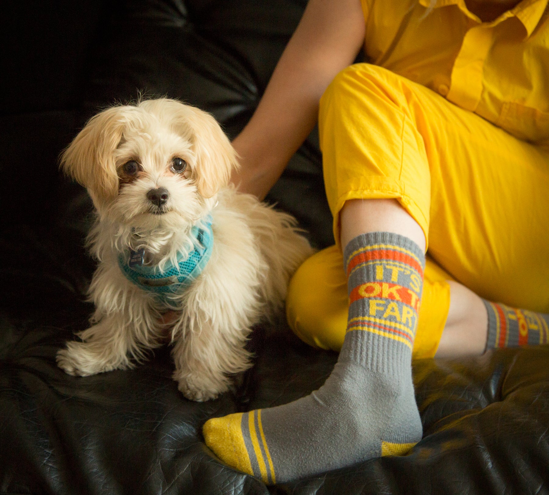 poodle socks  Livin' On A Reel